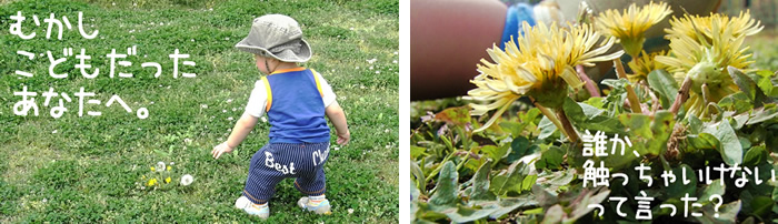 子どもの頃、花で遊んだ気持ちを思い出してください